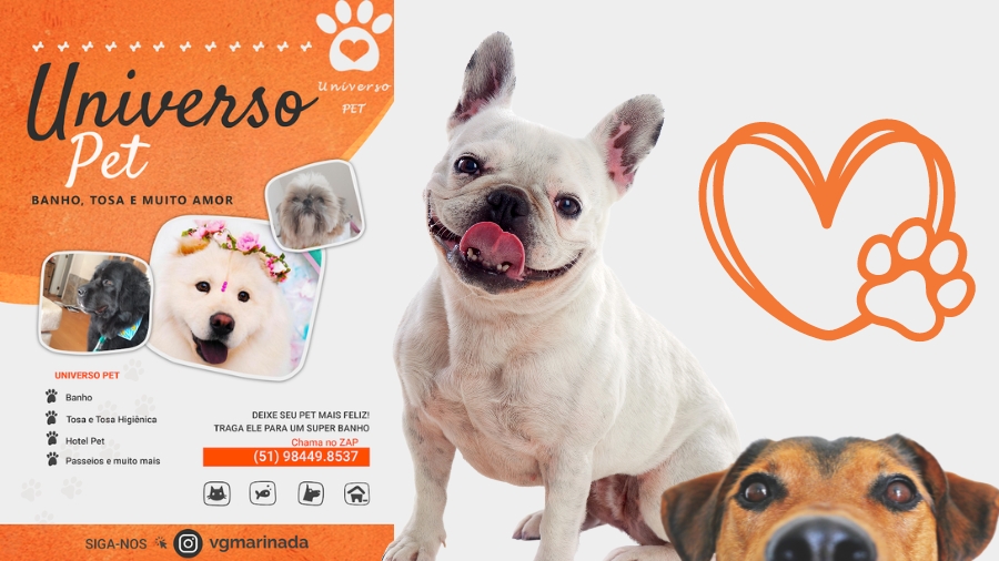 Universo Pet